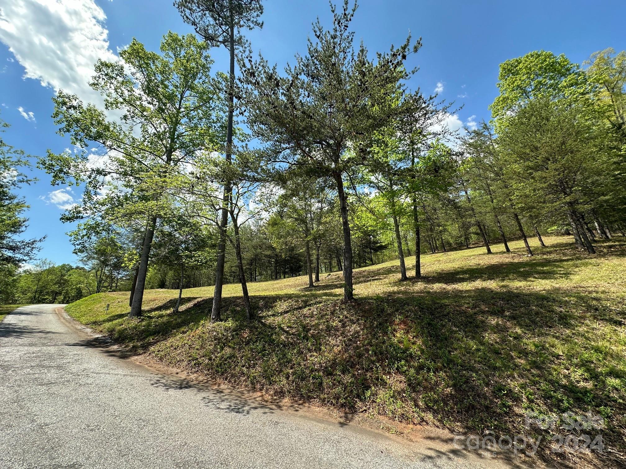 306 Rock Ledge Drive Lake Lure NC 28746