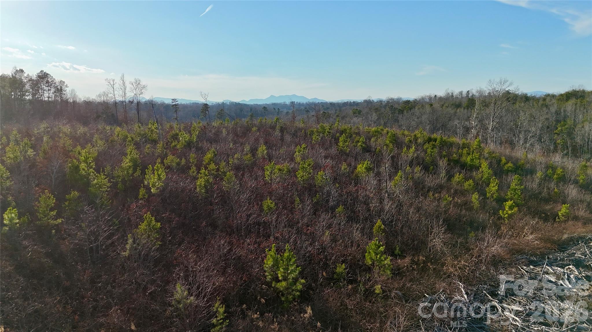 0 Brady Hampton Drive Rutherfordton NC 28139