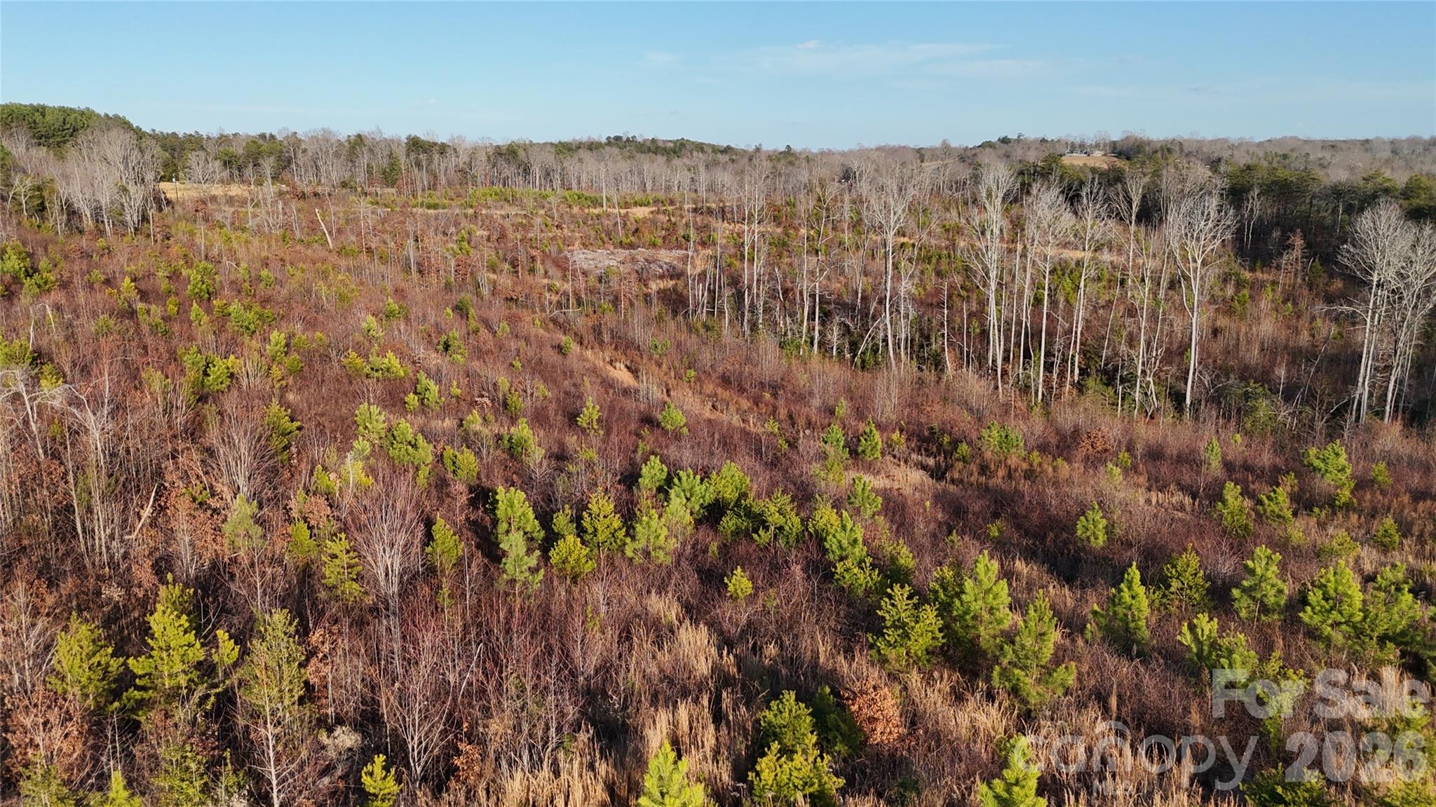 0 Brady Hampton Drive Rutherfordton NC 28139