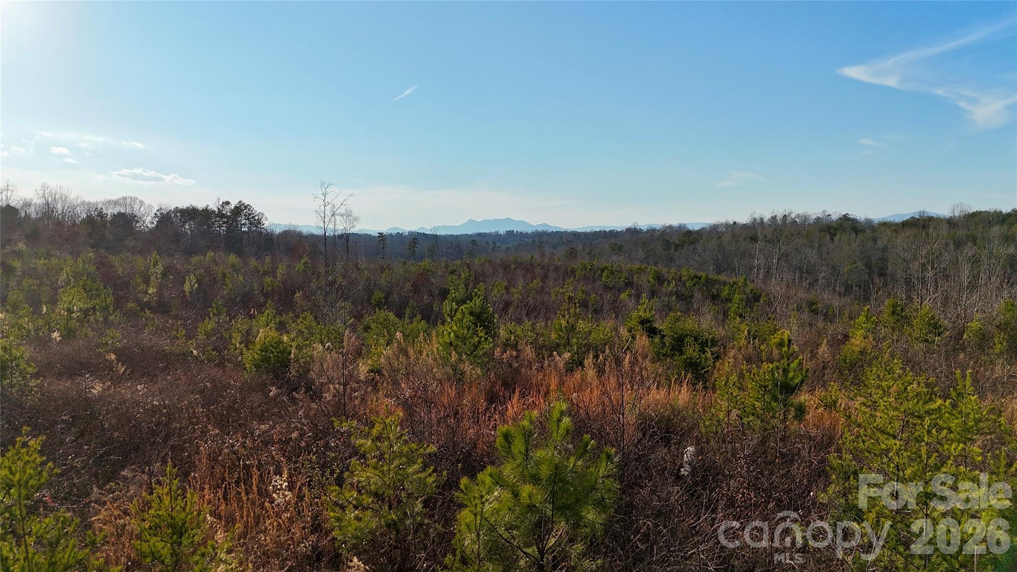 0 Brady Hampton Drive Rutherfordton NC 28139