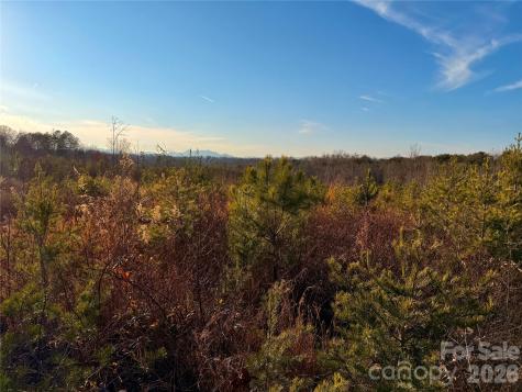 0 Brady Hampton Drive Rutherfordton NC 28139