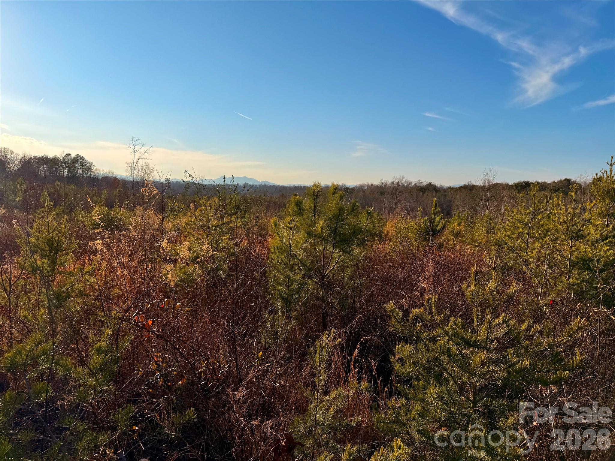 0 Brady Hampton Drive Rutherfordton NC 28139