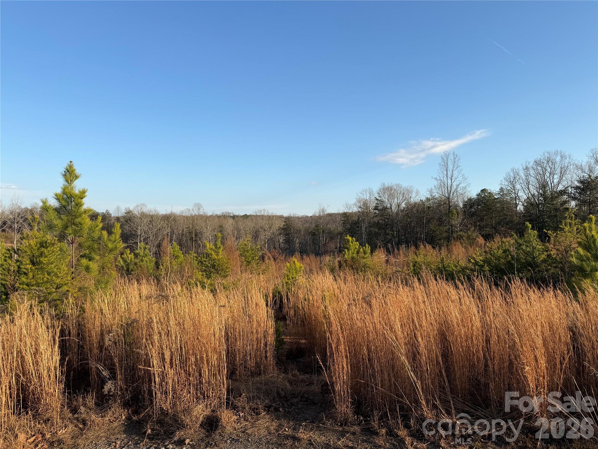 0 Brady Hampton Drive Rutherfordton NC 28139