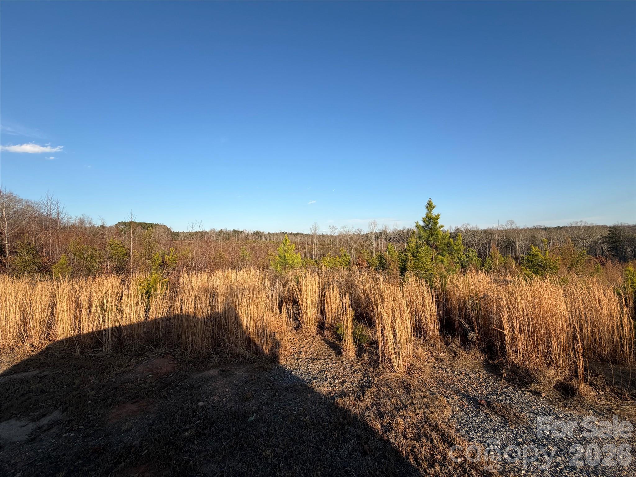 0 Brady Hampton Drive Rutherfordton NC 28139