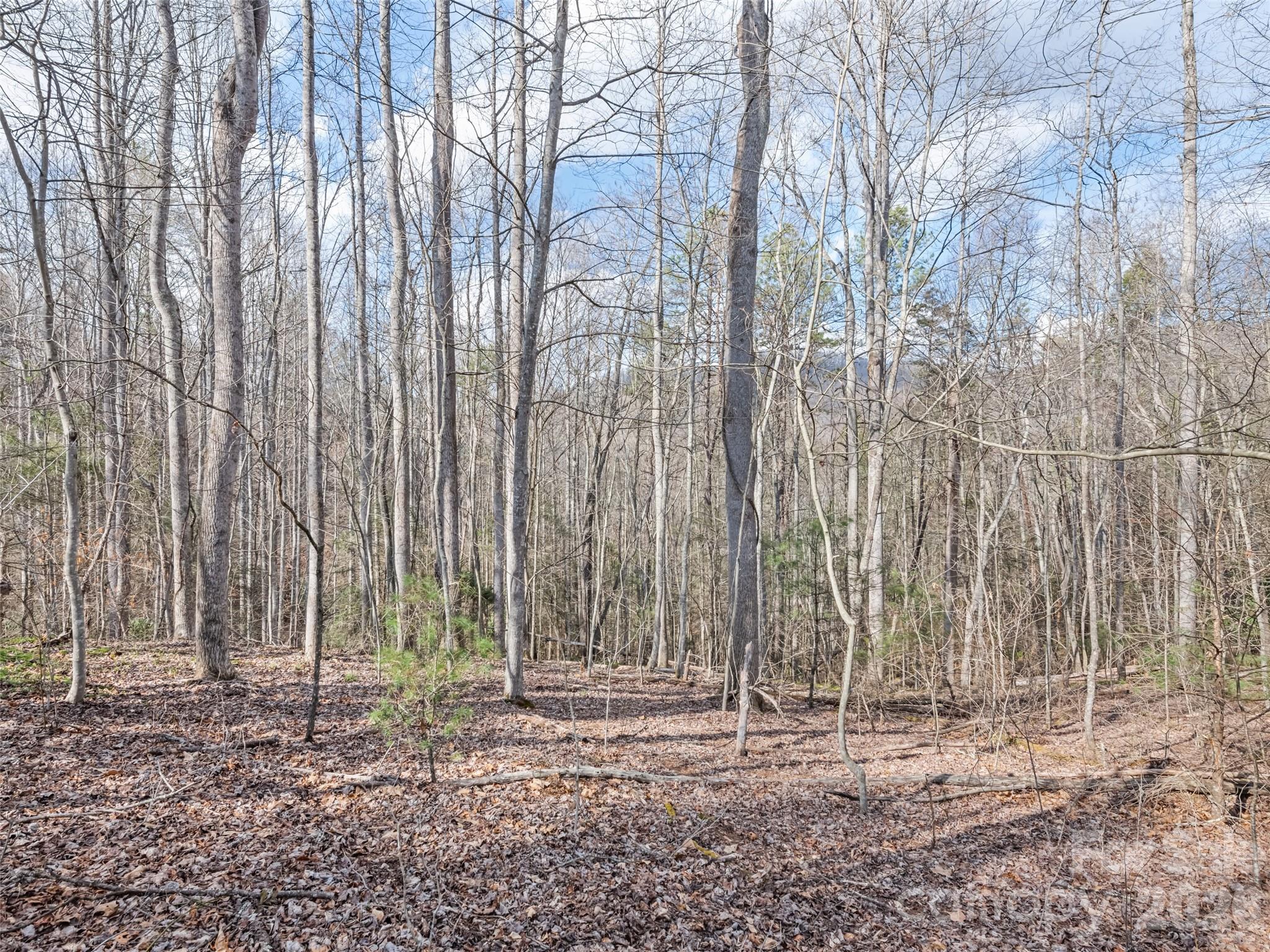 00 Harleys Cove Waynesville NC 28785
