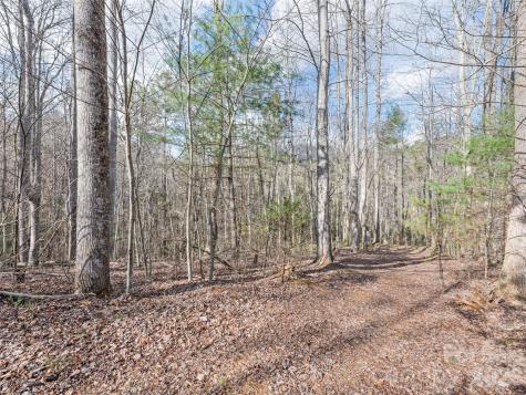 00 Harleys Cove Waynesville NC 28785