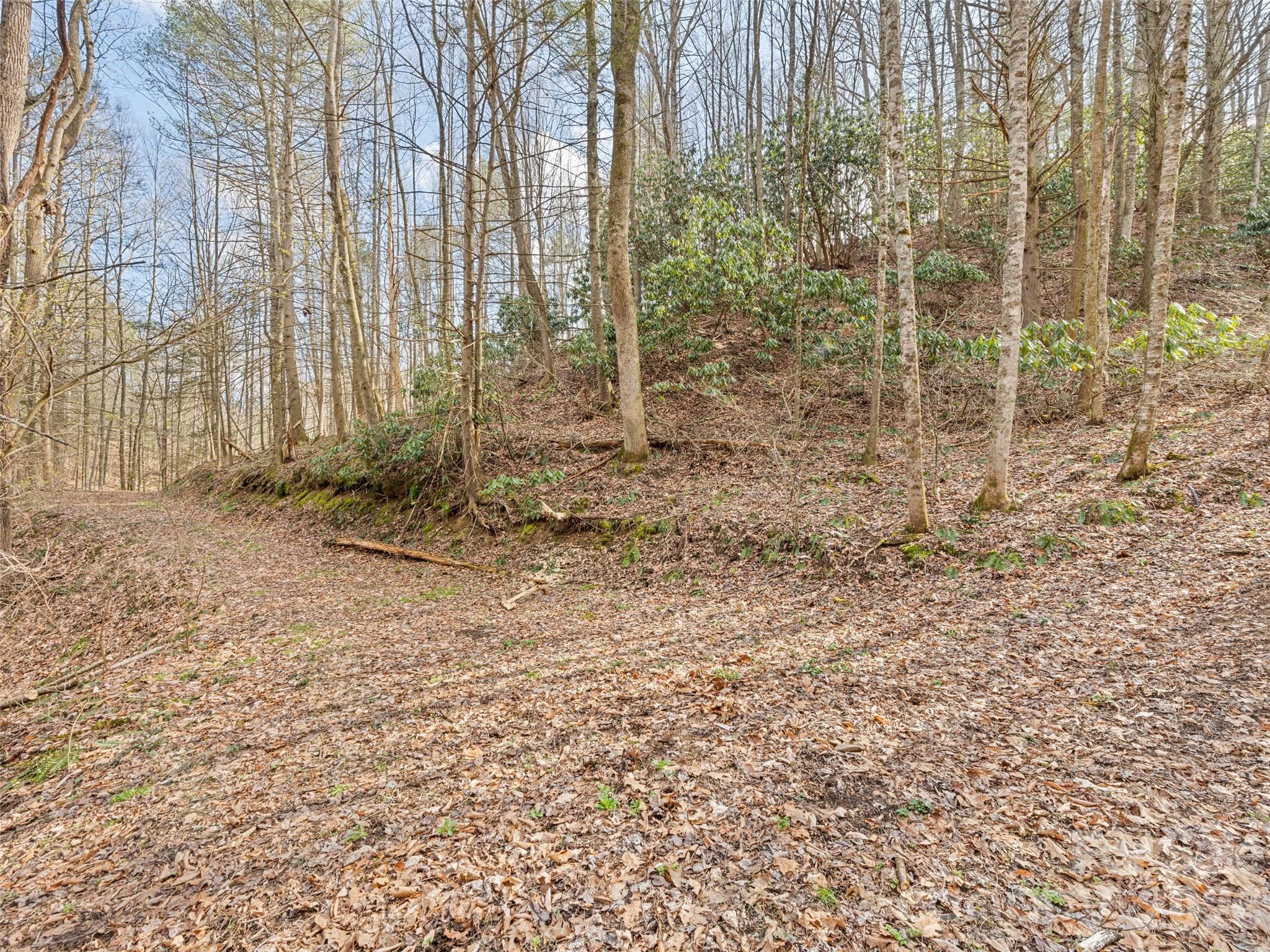 00 Harleys Cove Waynesville NC 28785