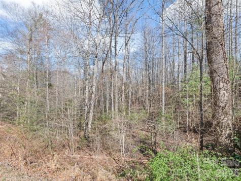 00 Harleys Cove Waynesville NC 28785