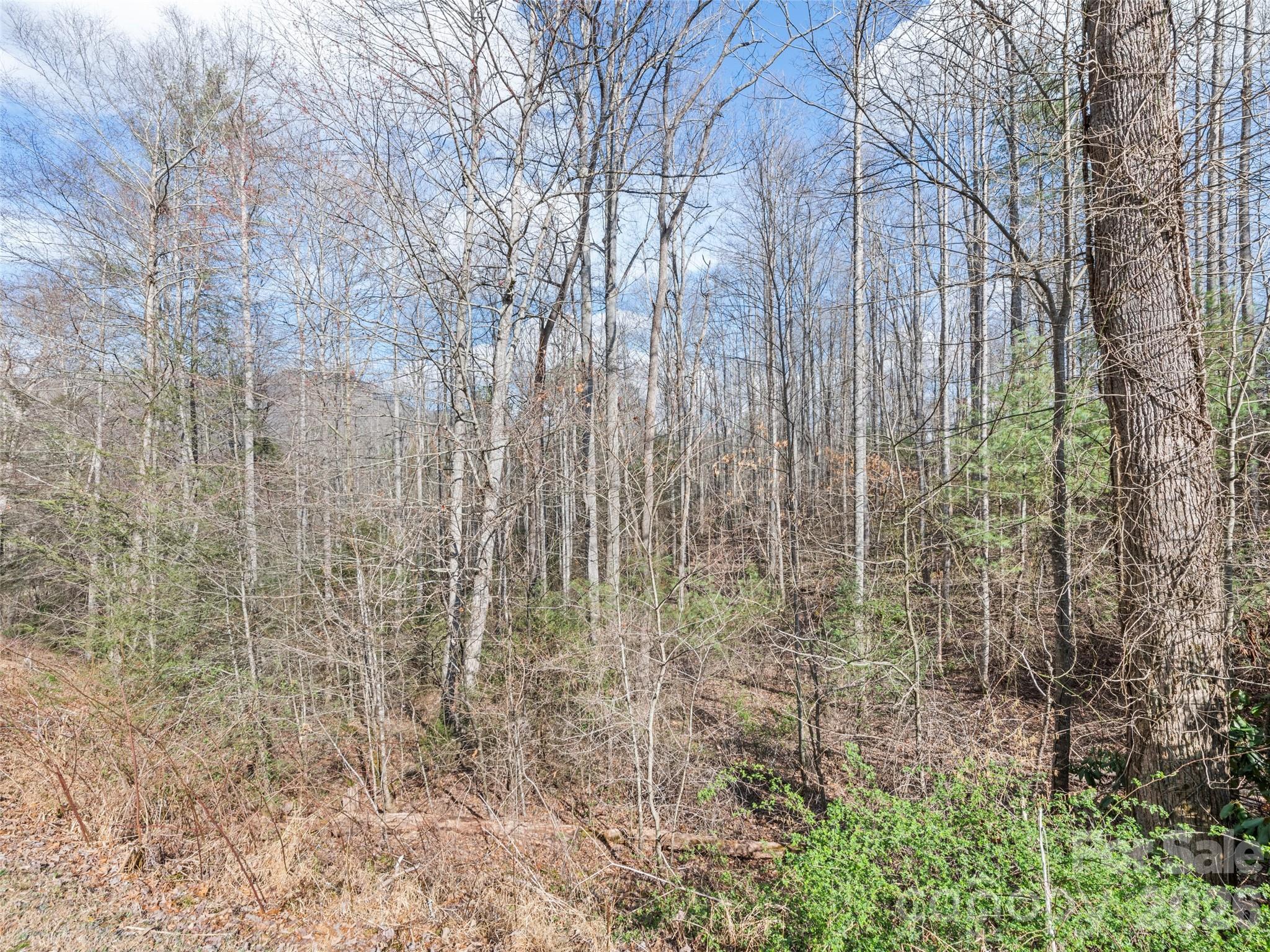 00 Harleys Cove Waynesville NC 28785