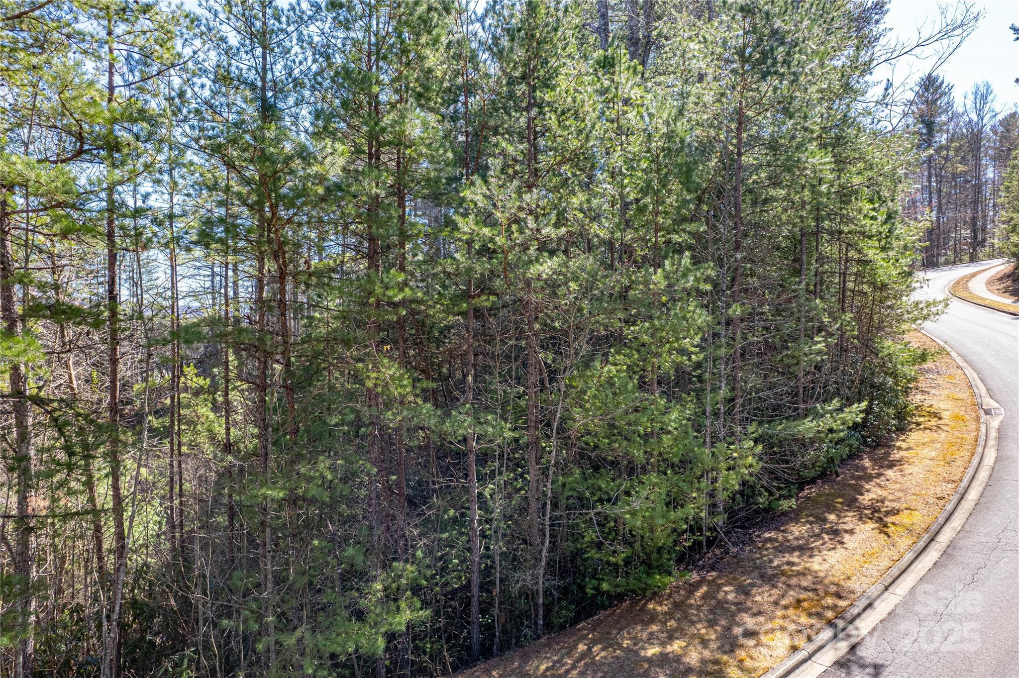 Tbd Camptown Road Brevard NC 28712