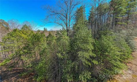 Tbd Camptown Road Brevard NC 28712