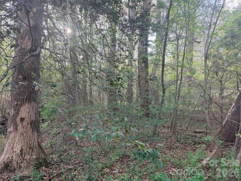 0 Old Stonecutter Road Rutherfordton NC 28139