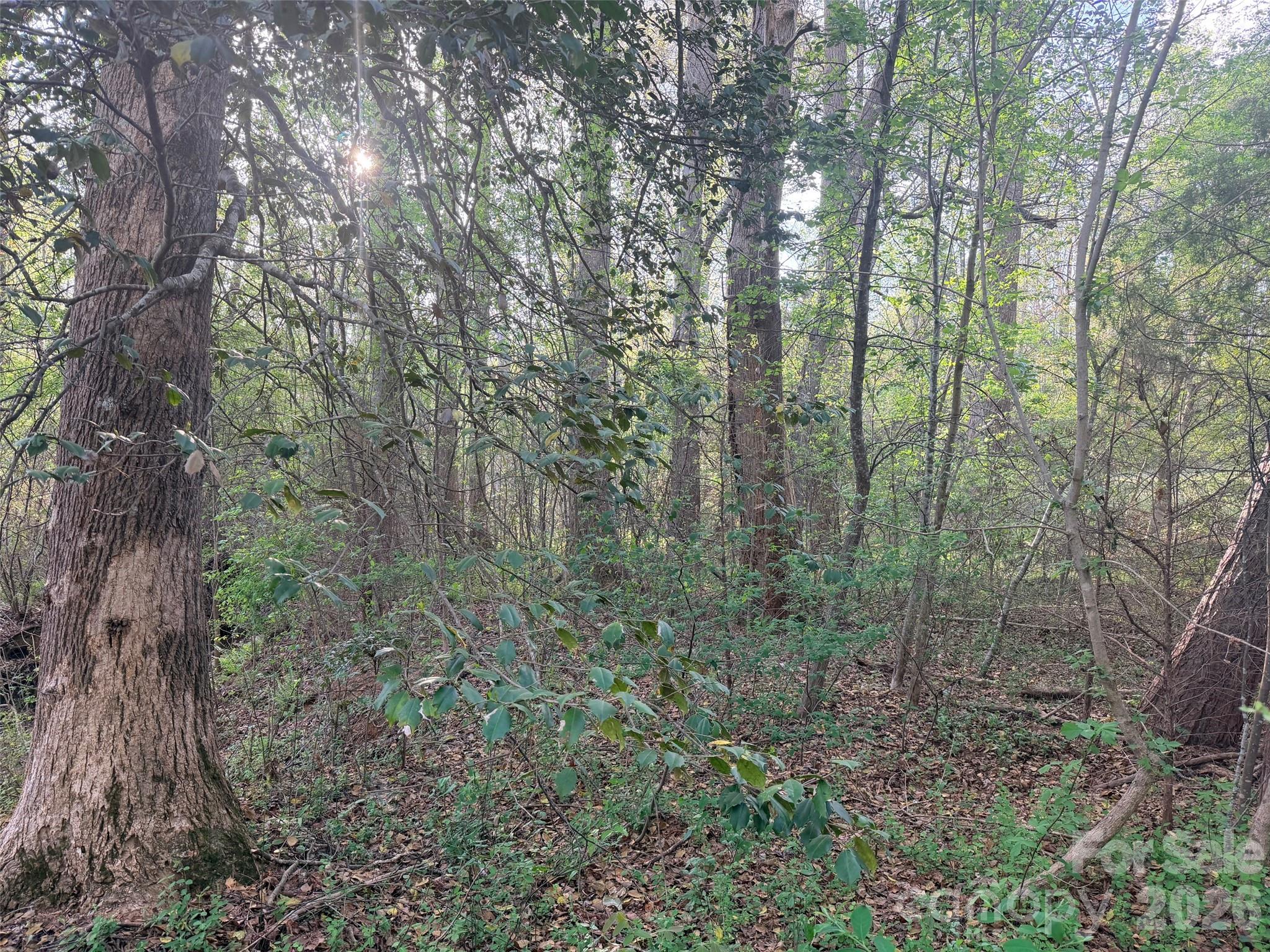 0 Old Stonecutter Road Rutherfordton NC 28139
