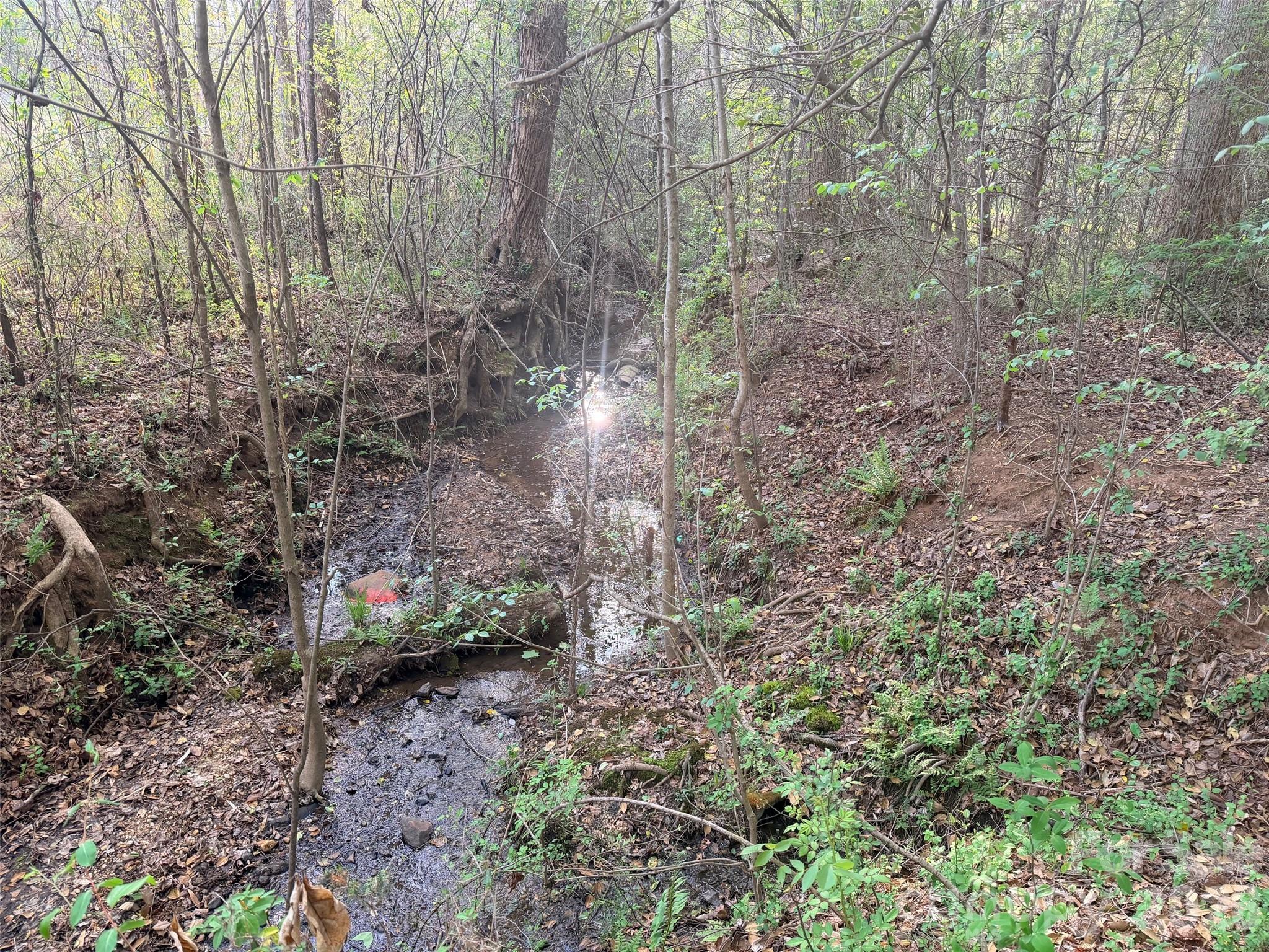 0 Old Stonecutter Road Rutherfordton NC 28139