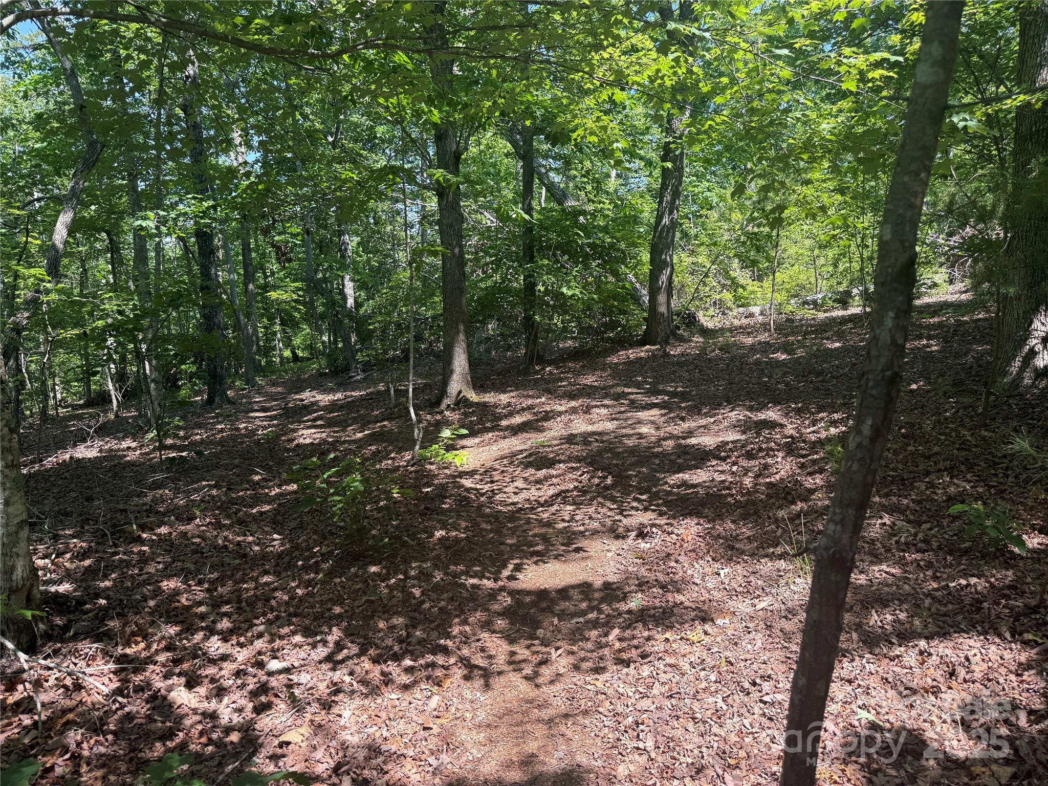 0 Crescent Ridge Lane Nebo NC 28761