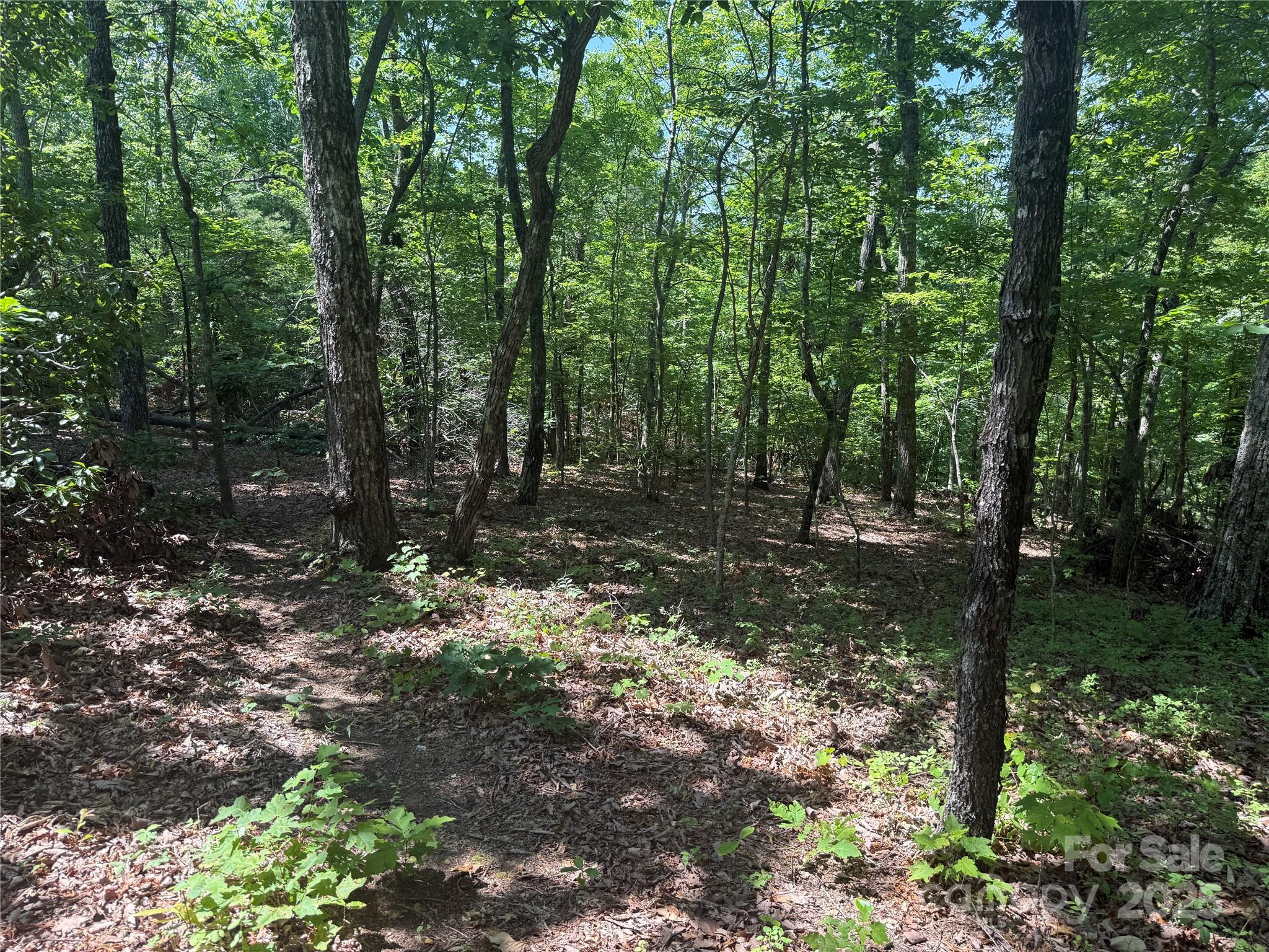 0 Crescent Ridge Lane Nebo NC 28761