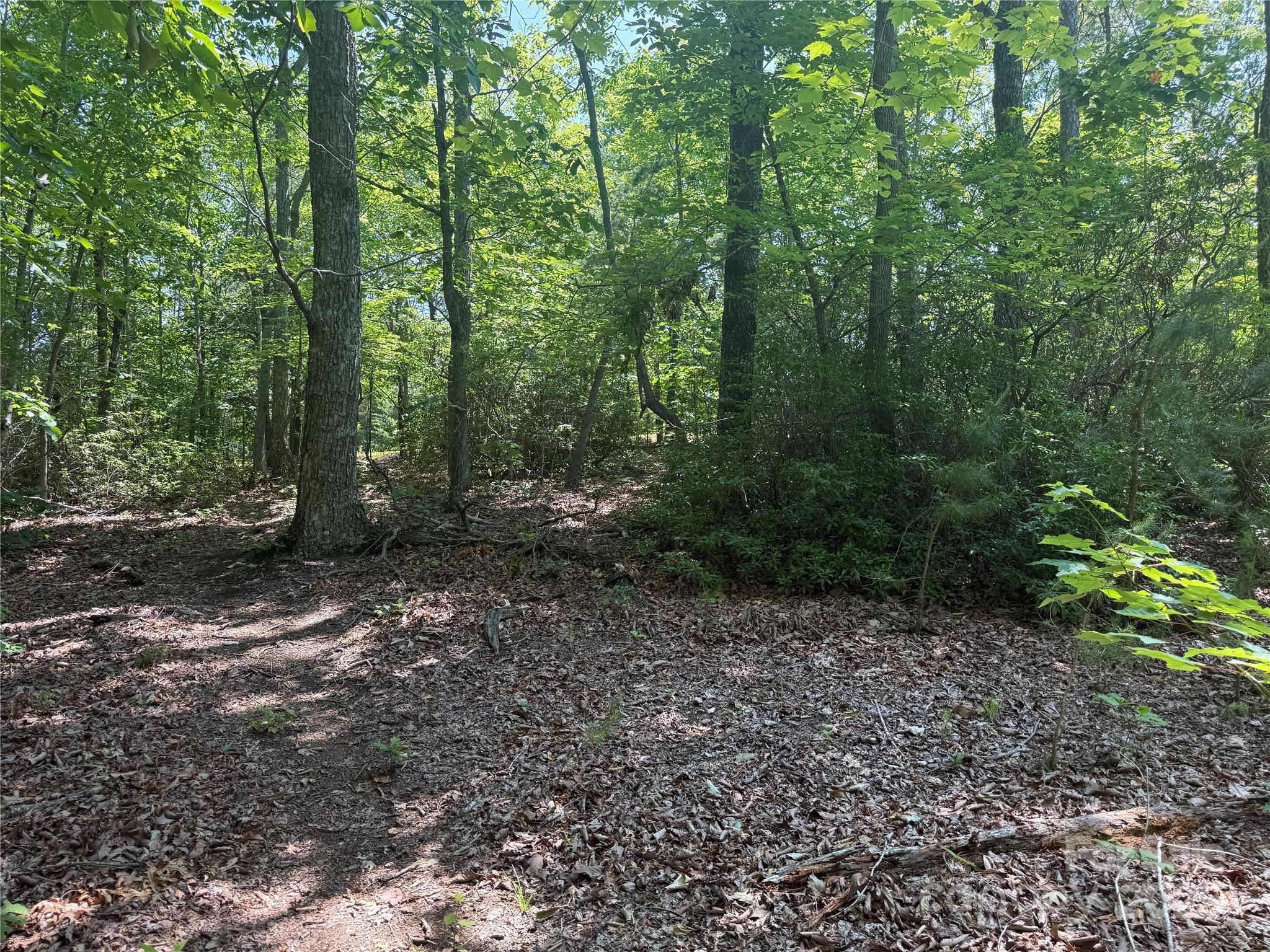 0 Crescent Ridge Lane Nebo NC 28761