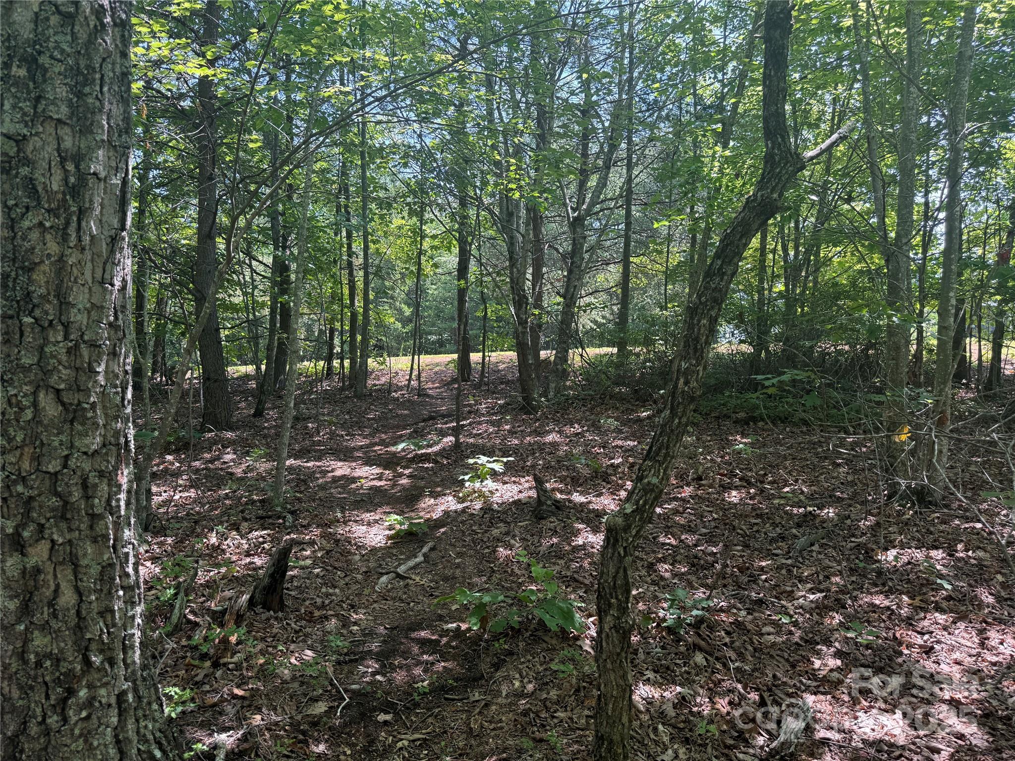 0 Crescent Ridge Lane Nebo NC 28761