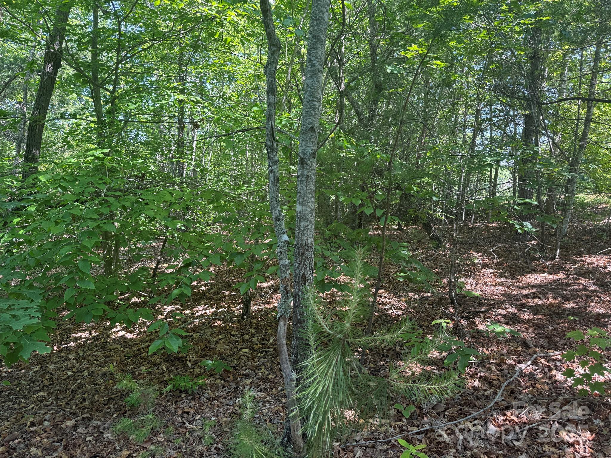 0 Crescent Ridge Lane Nebo NC 28761