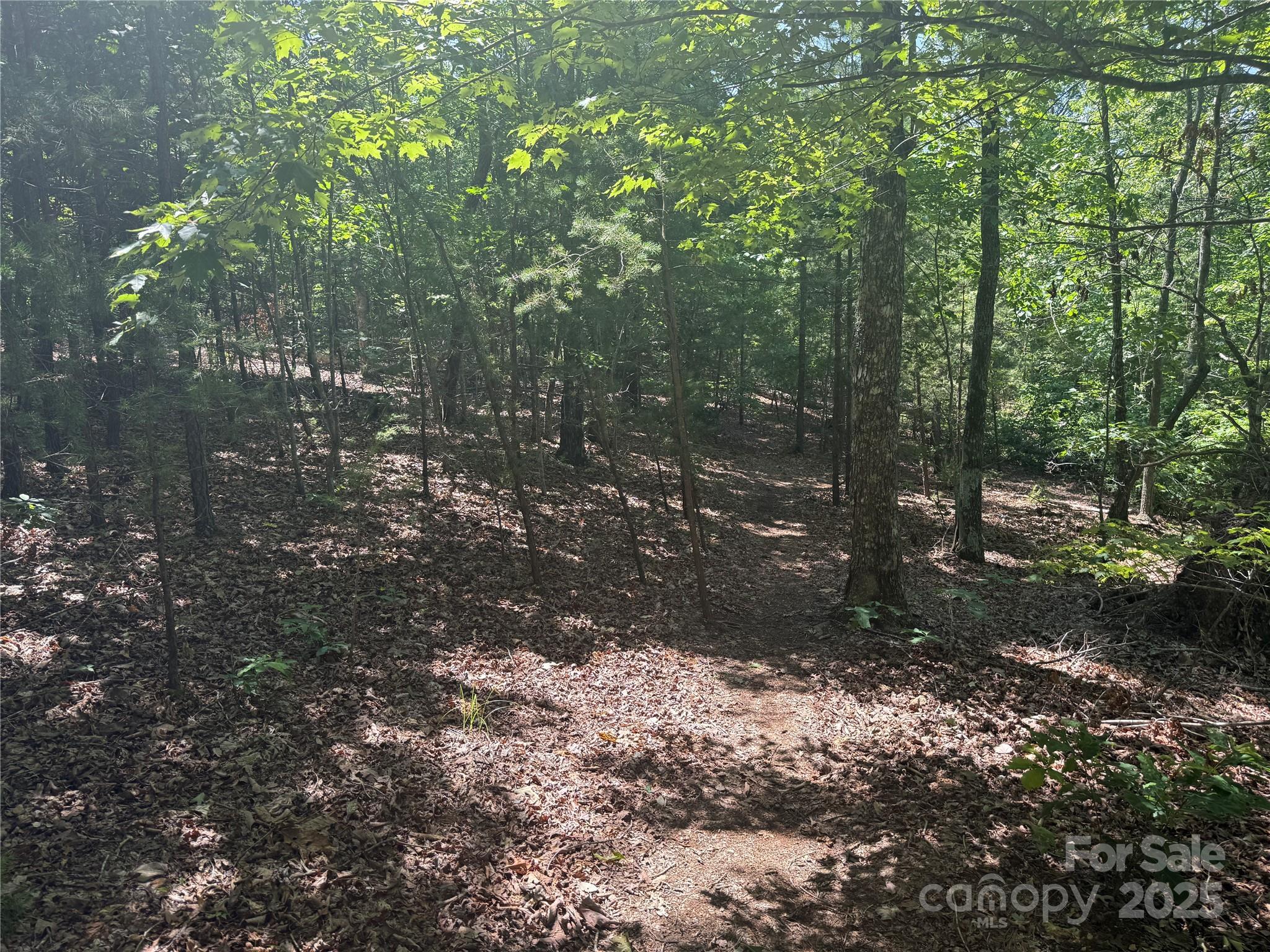 0 Crescent Ridge Lane Nebo NC 28761