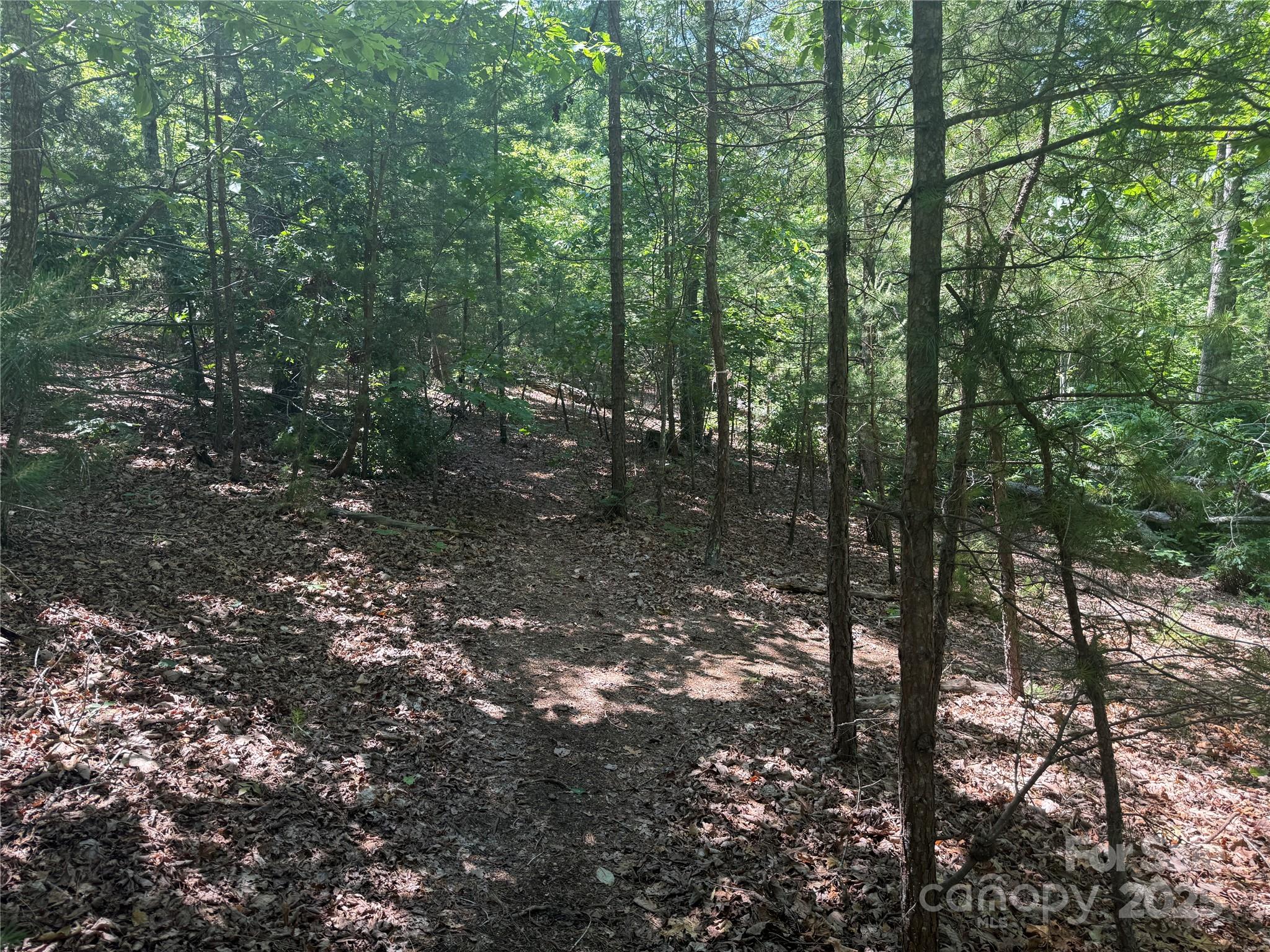 0 Crescent Ridge Lane Nebo NC 28761