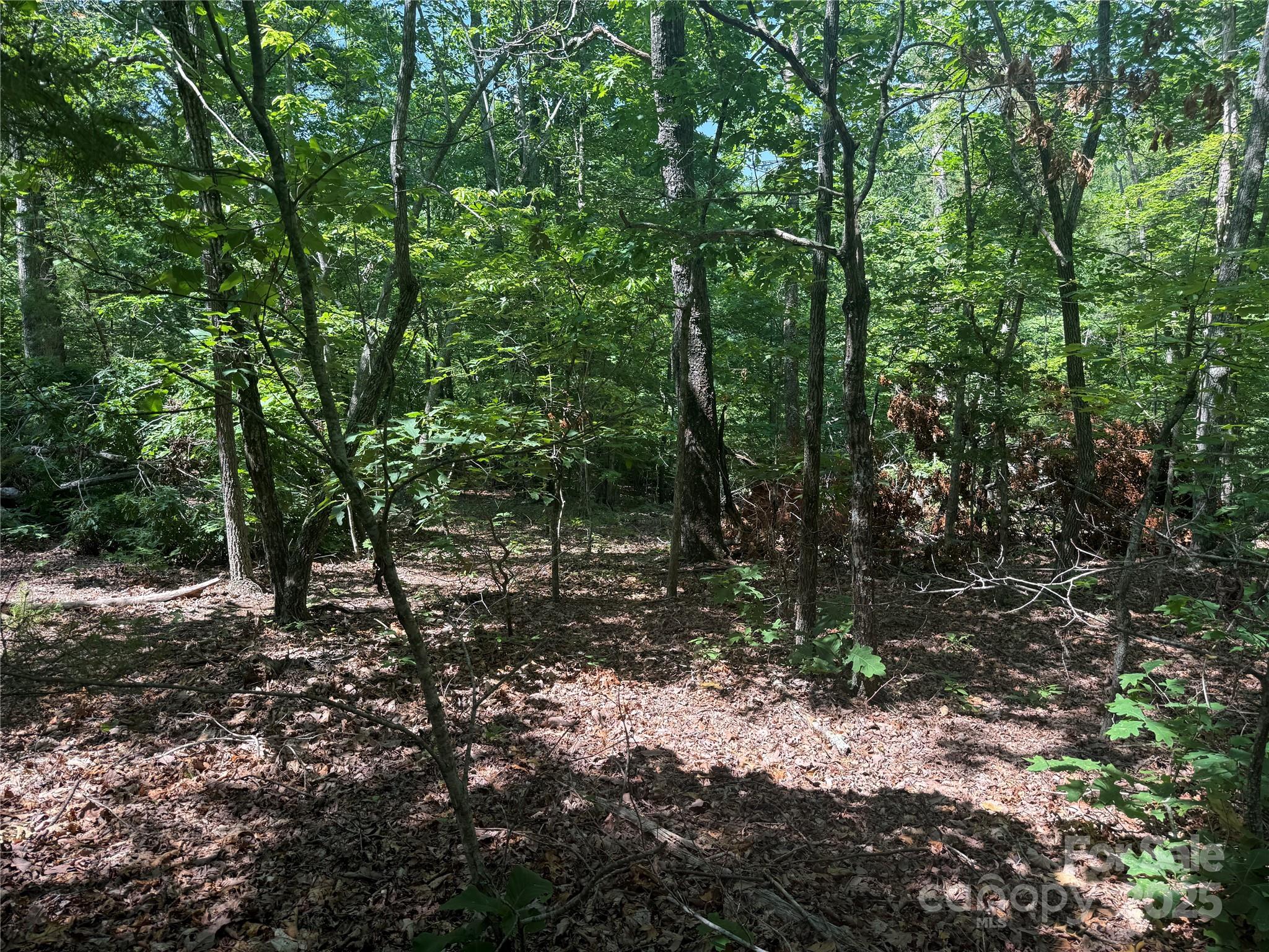 0 Crescent Ridge Lane Nebo NC 28761