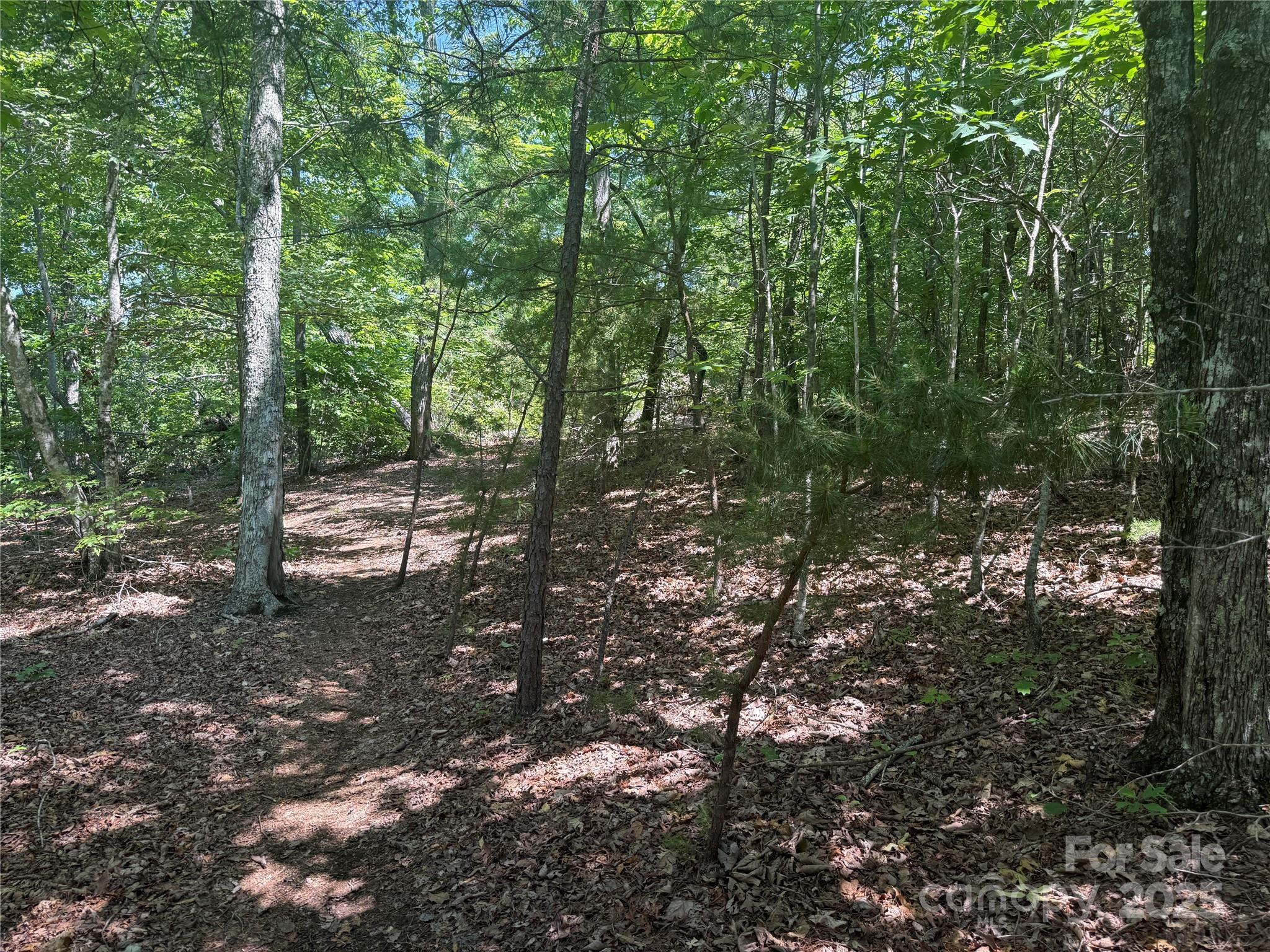0 Crescent Ridge Lane Nebo NC 28761