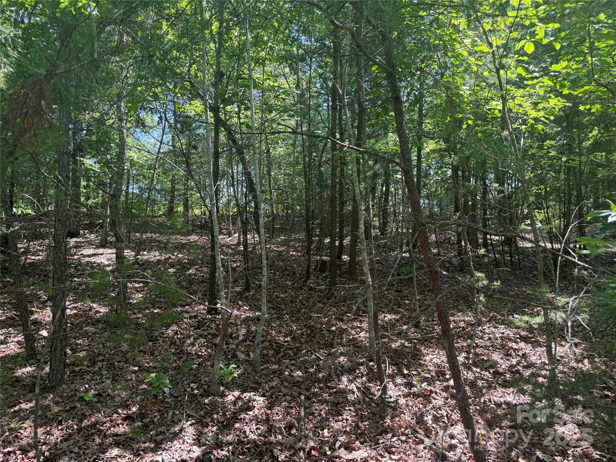 0 Crescent Ridge Lane Nebo NC 28761
