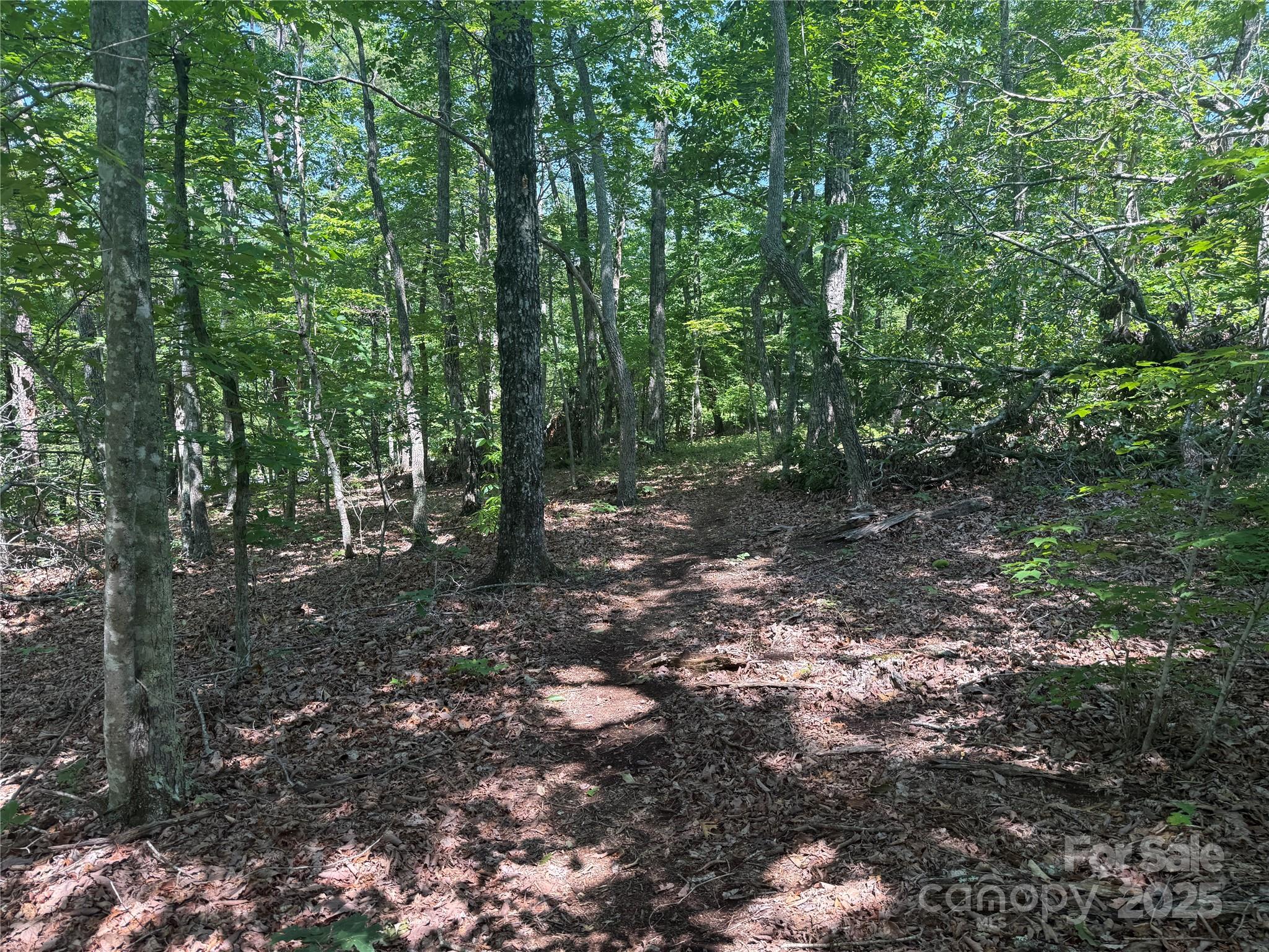 0 Crescent Ridge Lane Nebo NC 28761