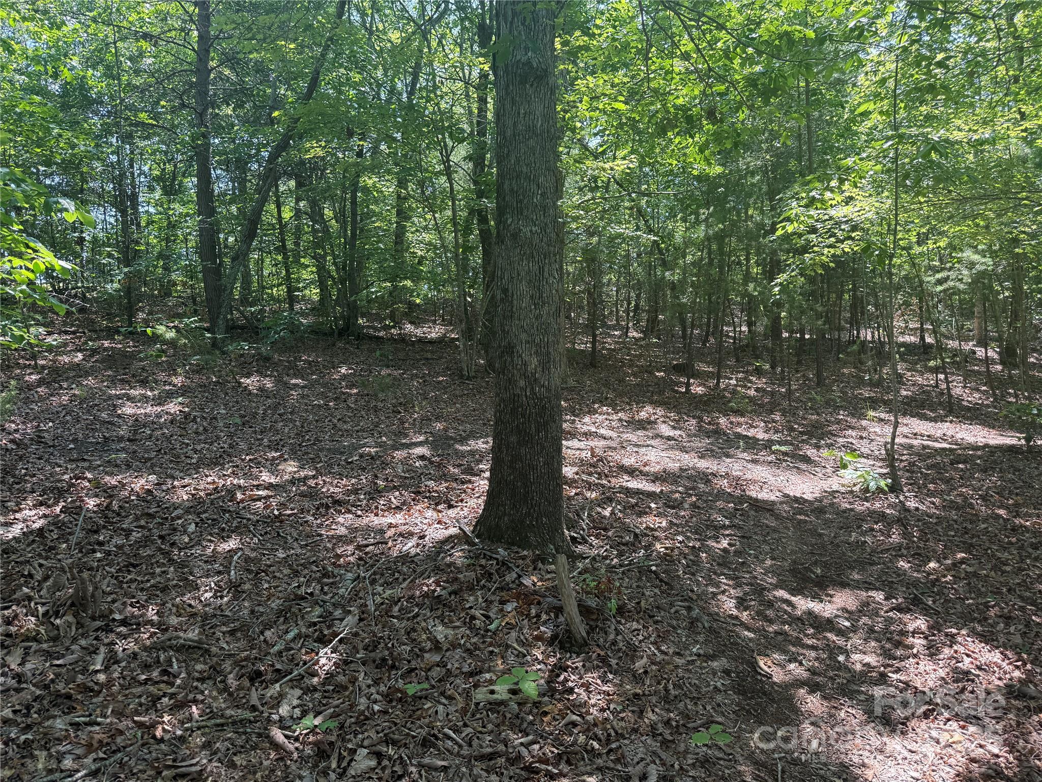 0 Crescent Ridge Lane Nebo NC 28761