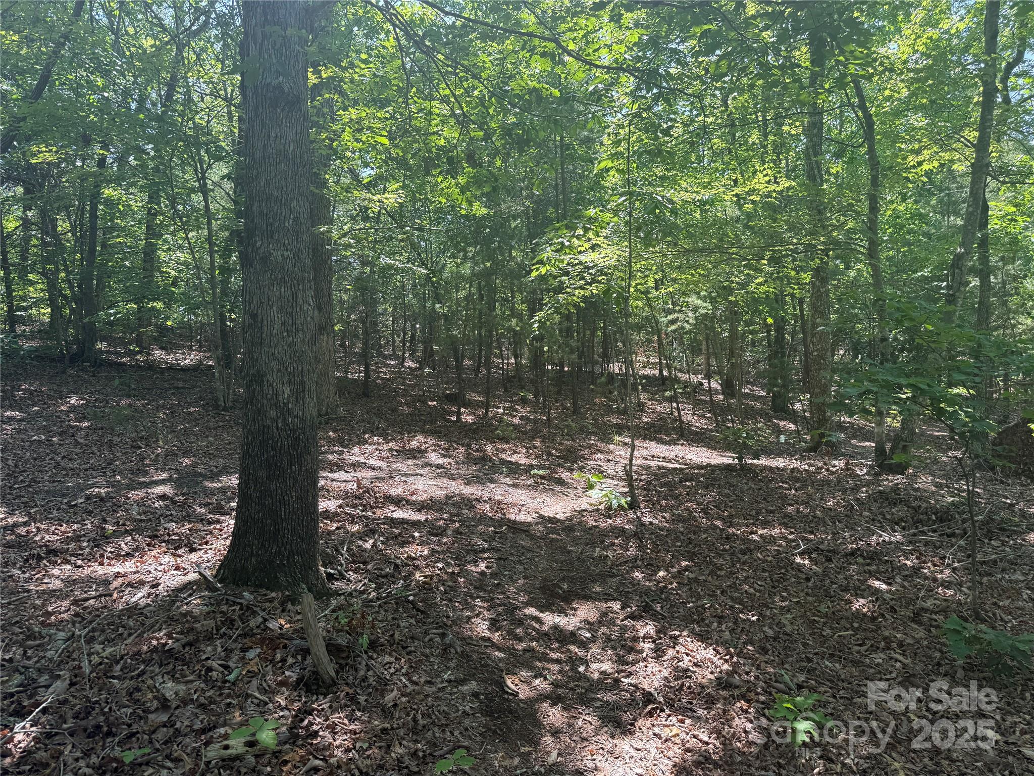 0 Crescent Ridge Lane Nebo NC 28761