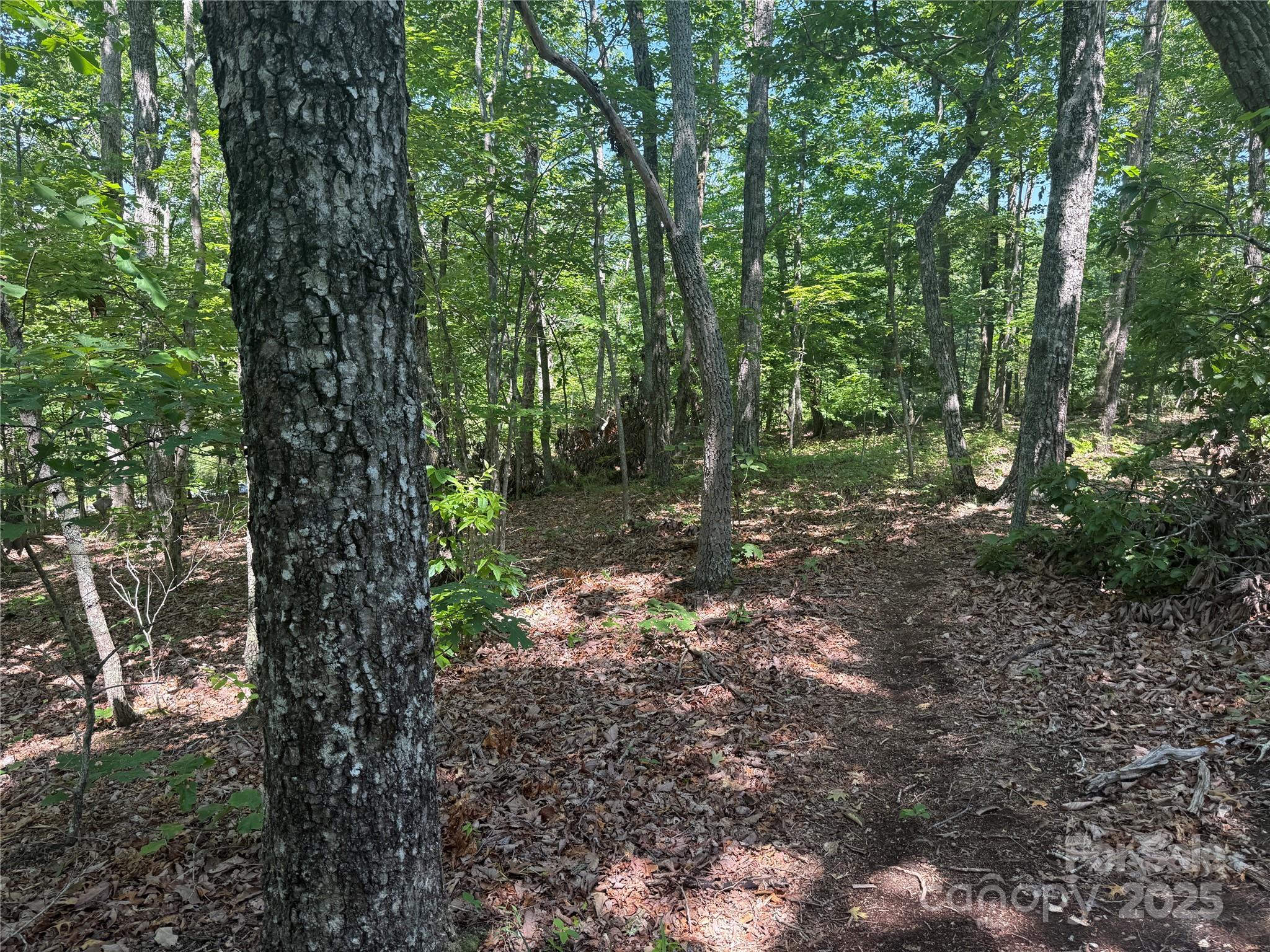0 Crescent Ridge Lane Nebo NC 28761