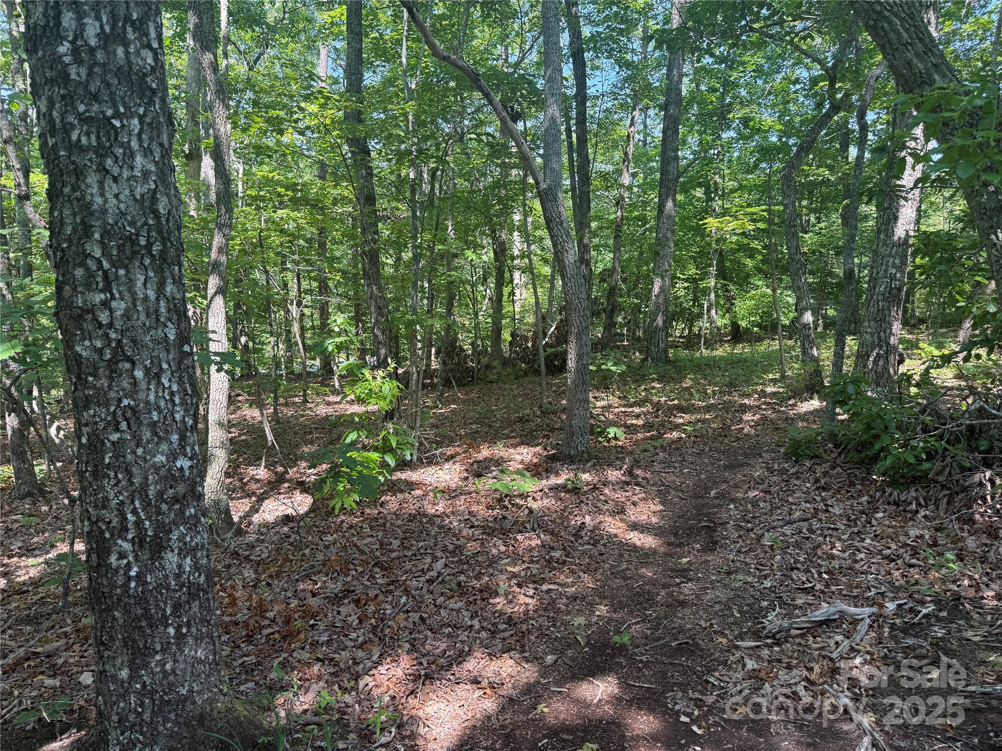 0 Crescent Ridge Lane Nebo NC 28761