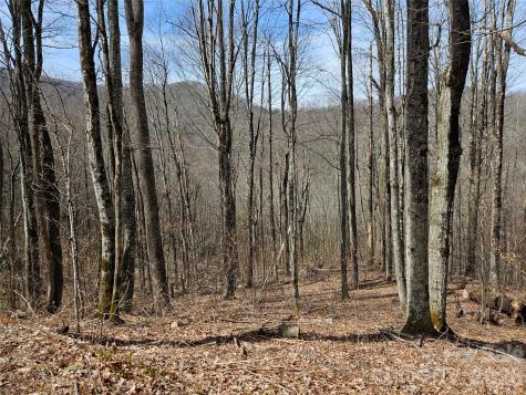 000 Forbidden Cove Waynesville NC 28785