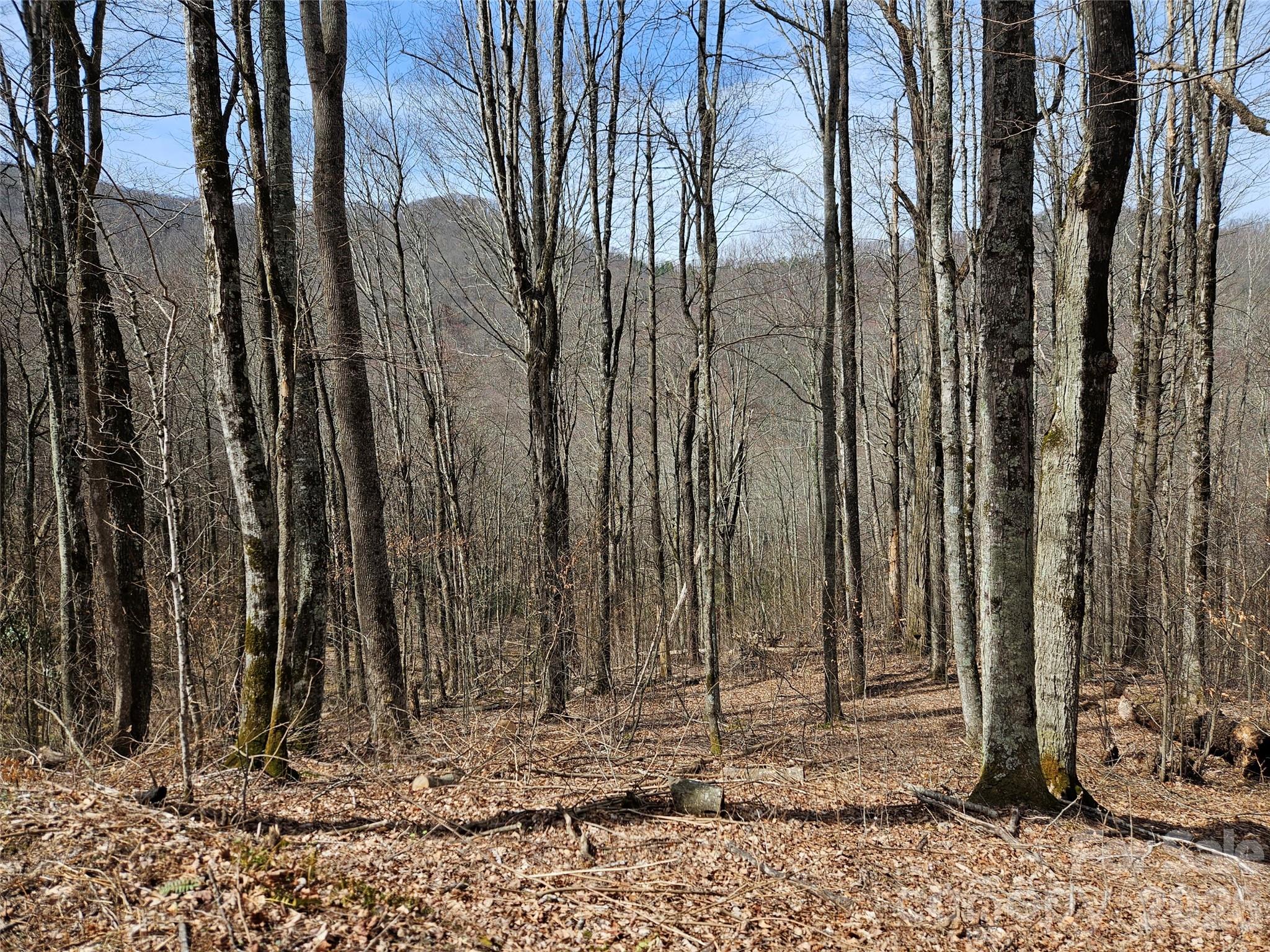 000 Forbidden Cove Waynesville NC 28785