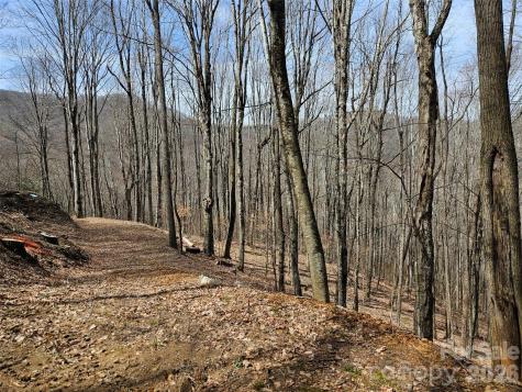 000 Forbidden Cove Waynesville NC 28785