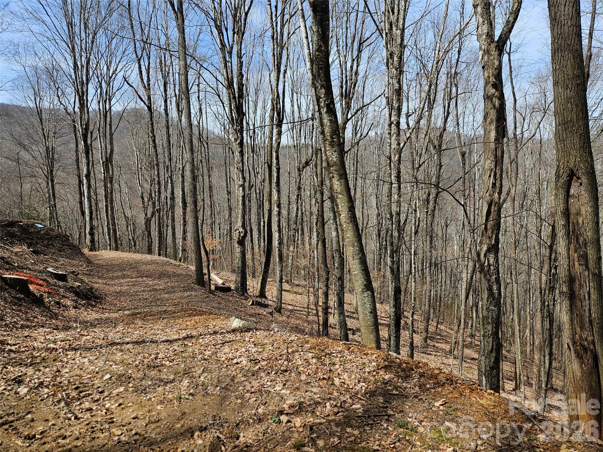000 Forbidden Cove Waynesville NC 28785