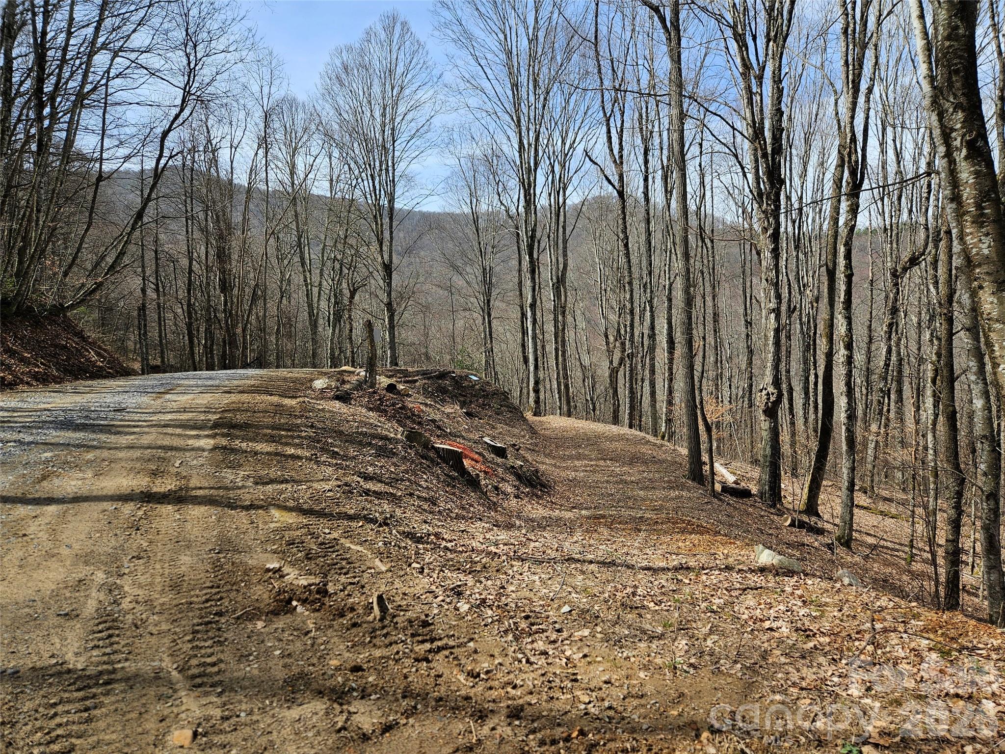 000 Forbidden Cove Waynesville NC 28785