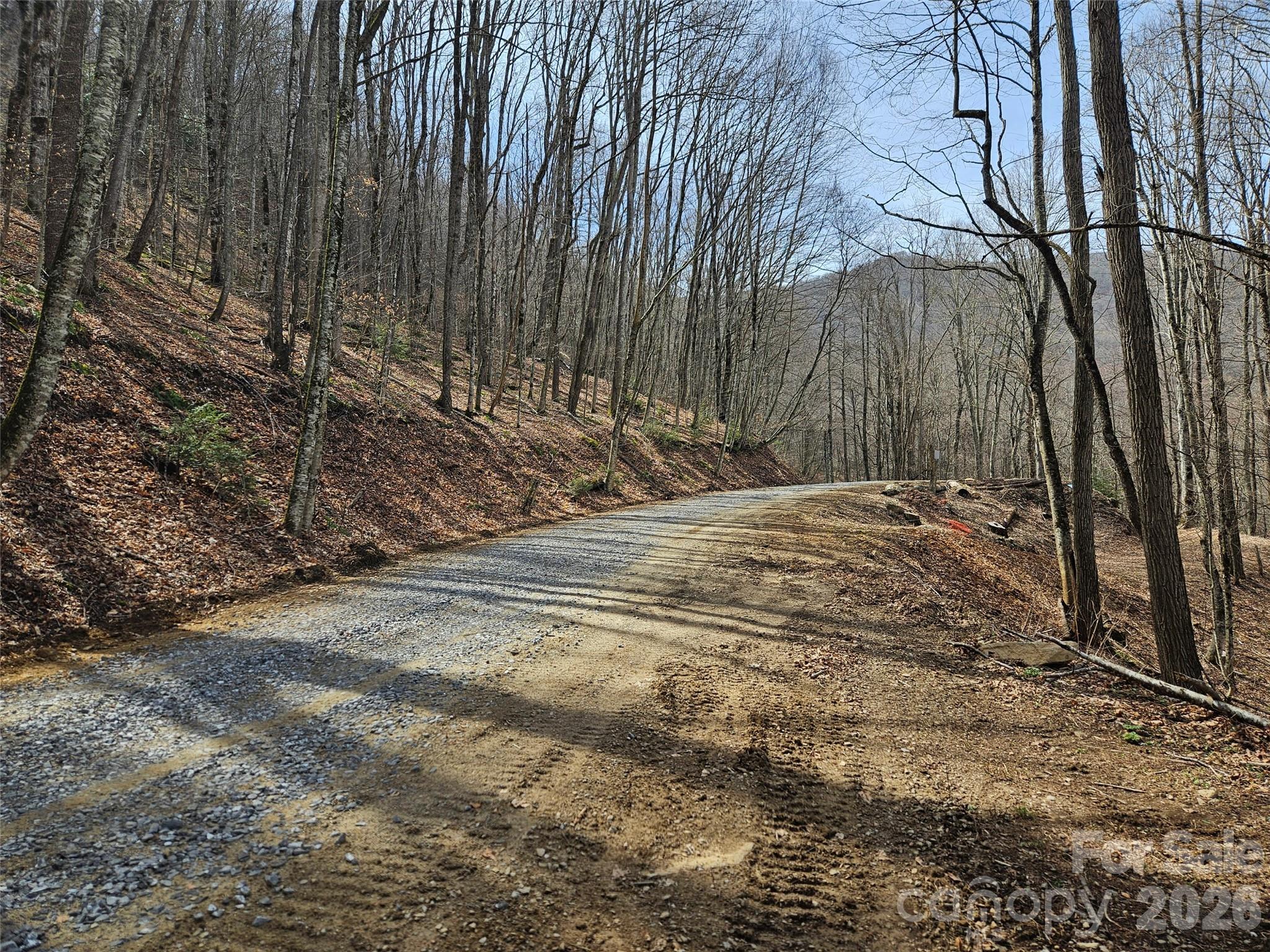 000 Forbidden Cove Waynesville NC 28785
