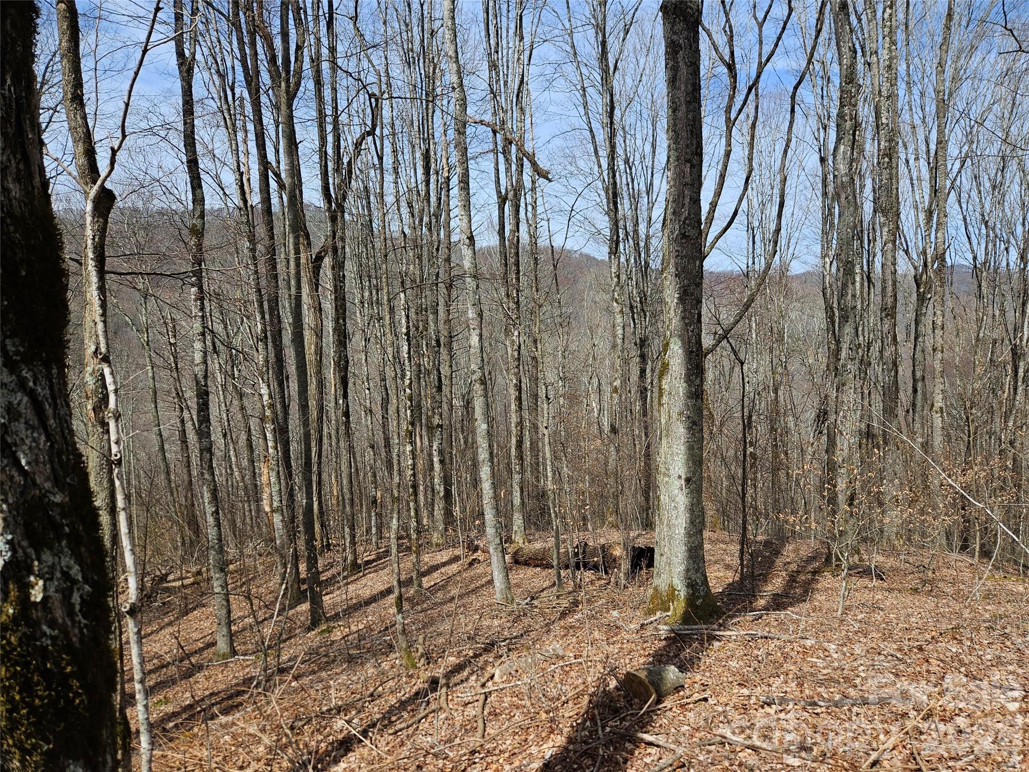000 Forbidden Cove Waynesville NC 28785