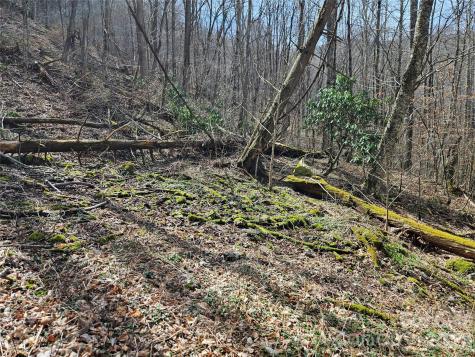 000 Forbidden Cove Waynesville NC 28785