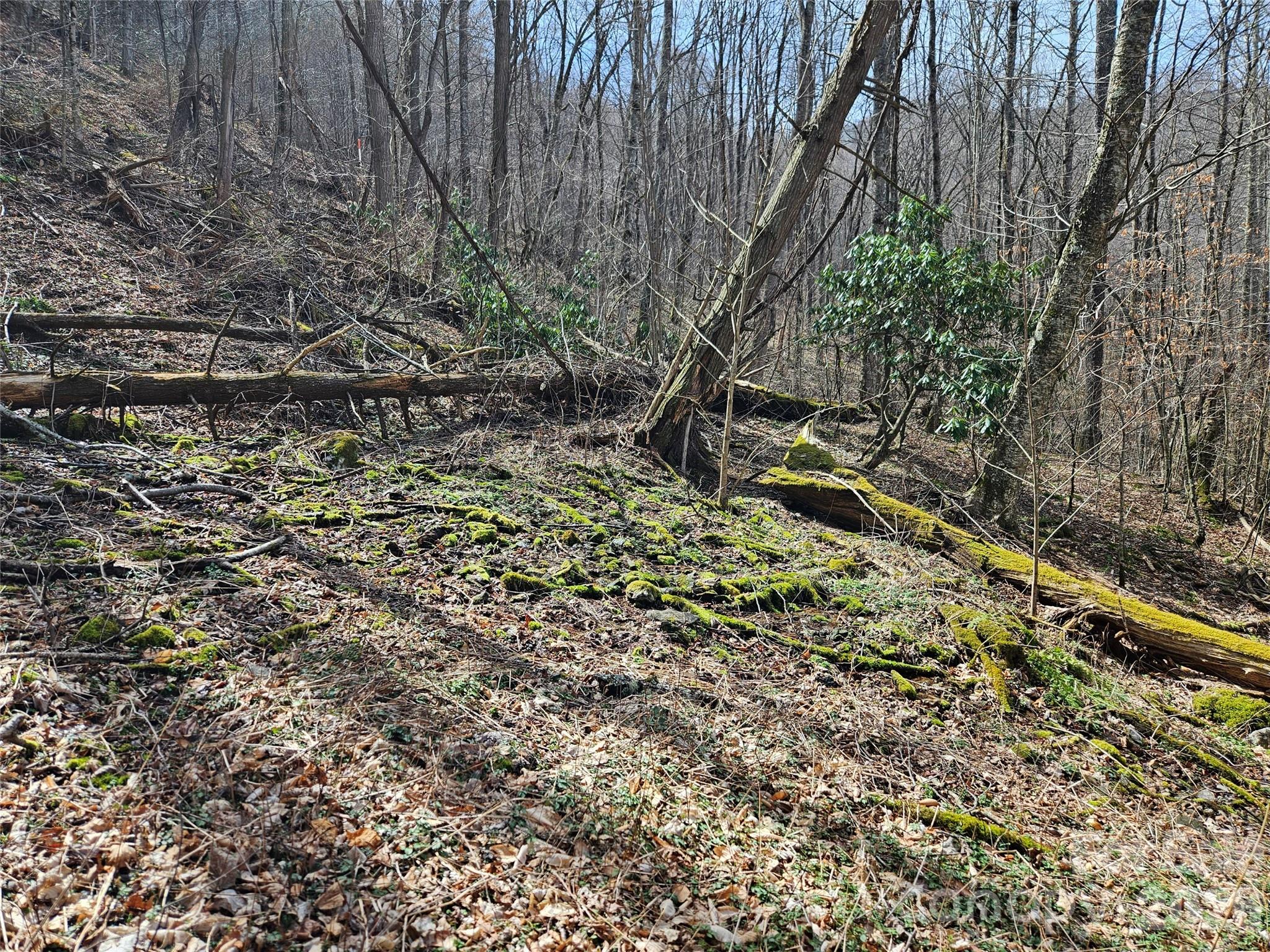 000 Forbidden Cove Waynesville NC 28785