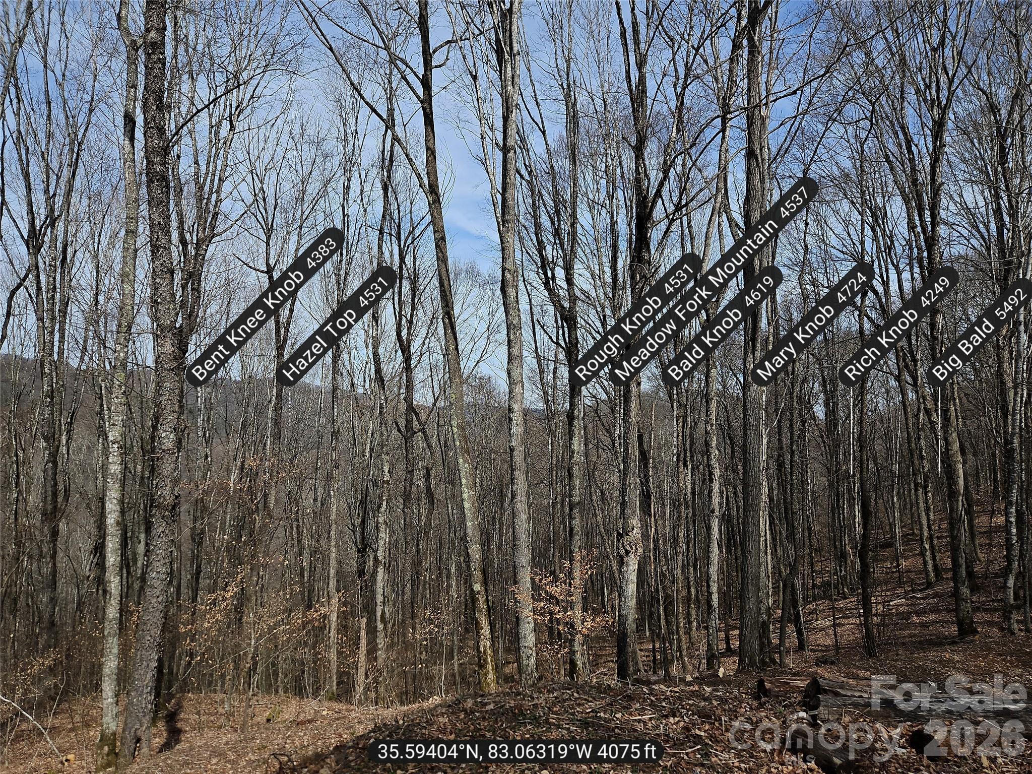 000 Forbidden Cove Waynesville NC 28785