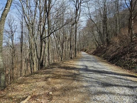 000 Forbidden Cove Waynesville NC 28785