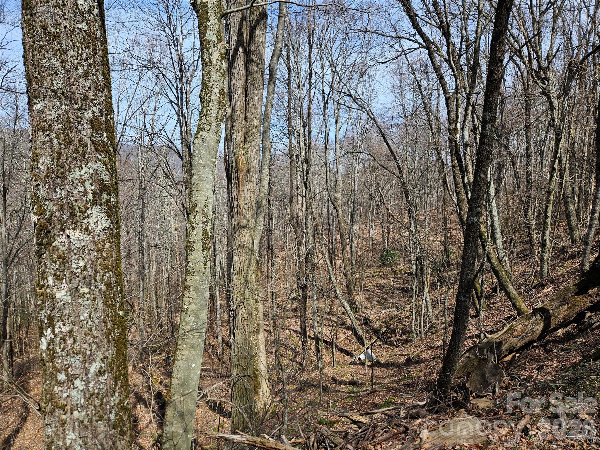 000 Forbidden Cove Waynesville NC 28785
