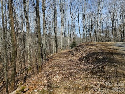 000 Forbidden Cove Waynesville NC 28785