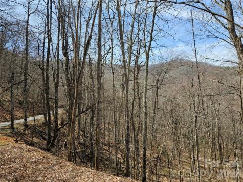 000 Forbidden Cove Waynesville NC 28785