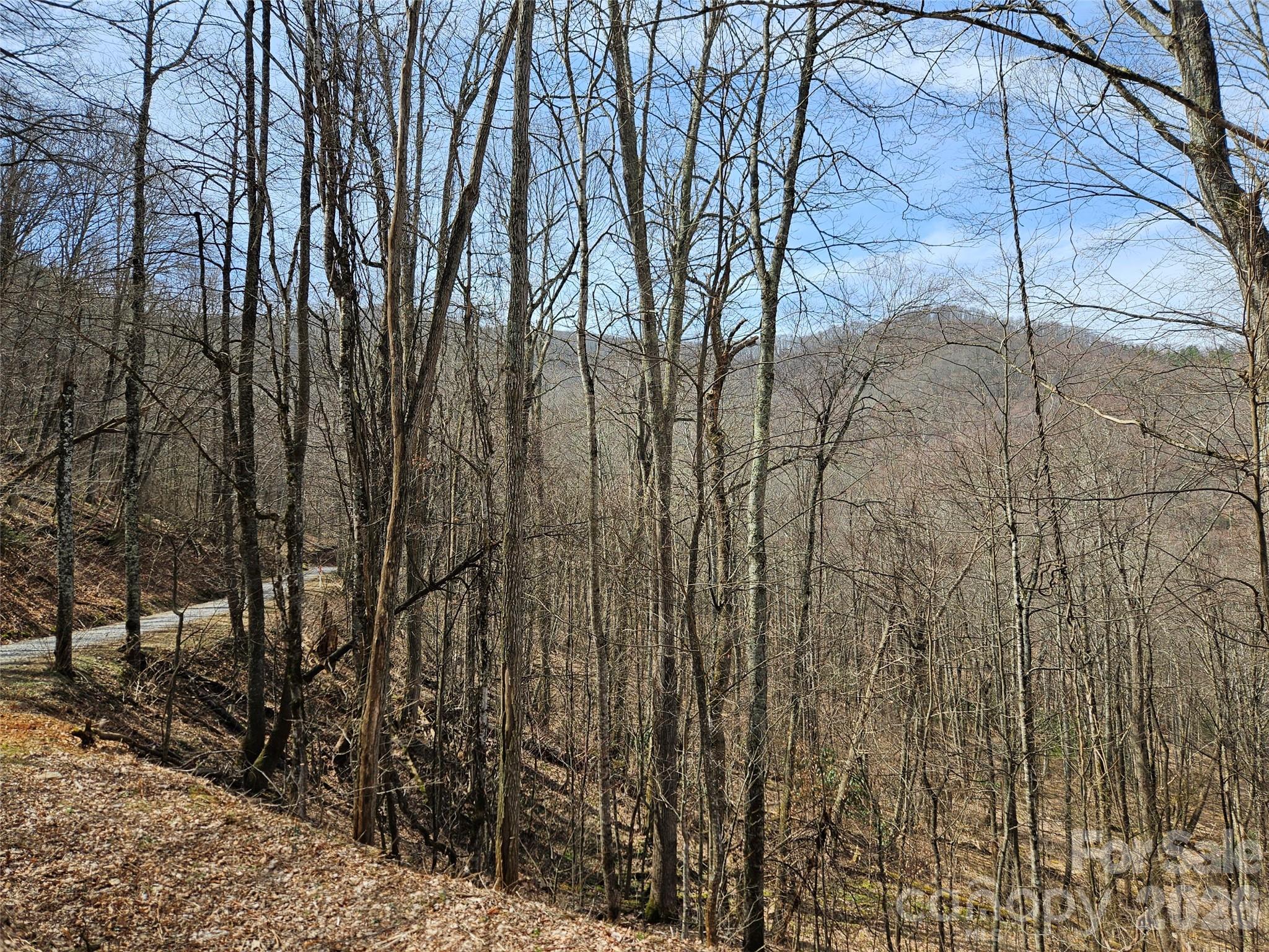 000 Forbidden Cove Waynesville NC 28785