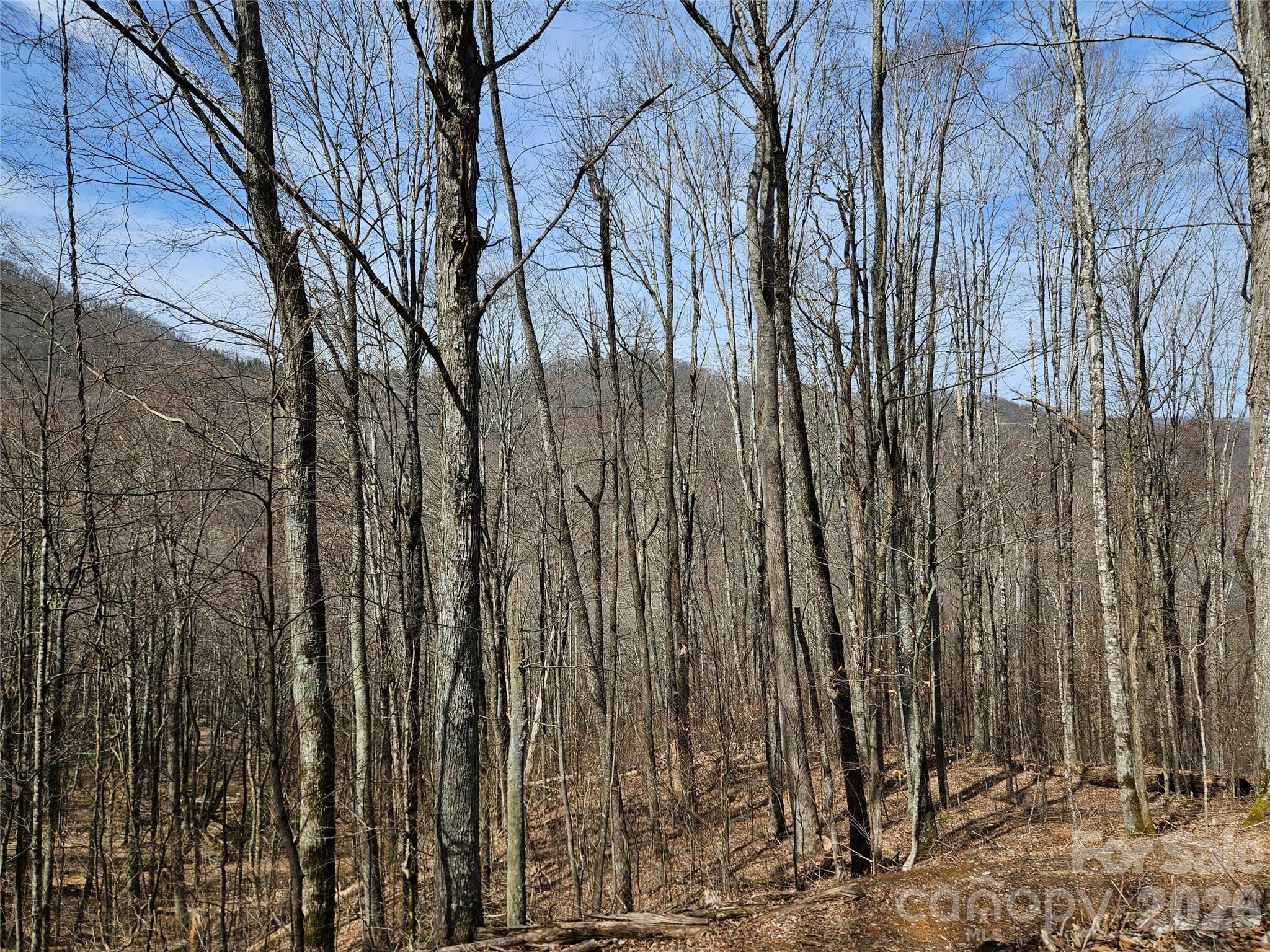 000 Forbidden Cove Waynesville NC 28785