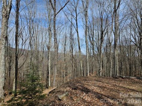 000 Forbidden Cove Waynesville NC 28785